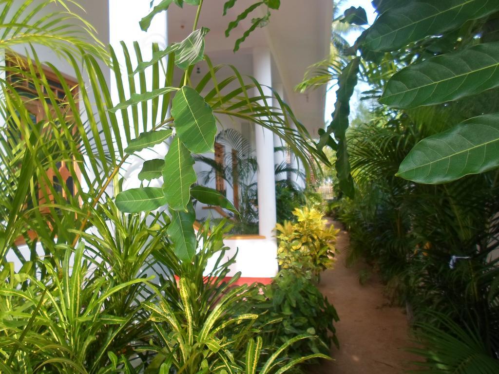 Surf & Sand Hotel Arugambay Vịnh Arugam Ngoại thất bức ảnh
